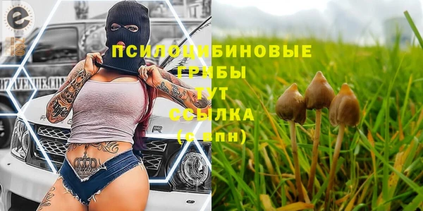 марки lsd Алексеевка
