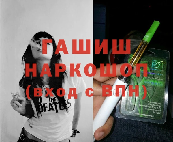 стаф Алзамай