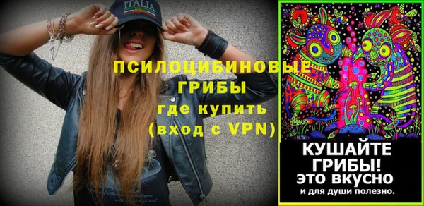 винт Абаза