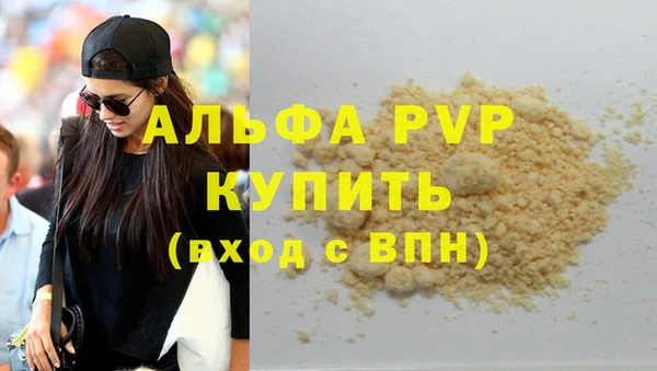 стаф Алзамай