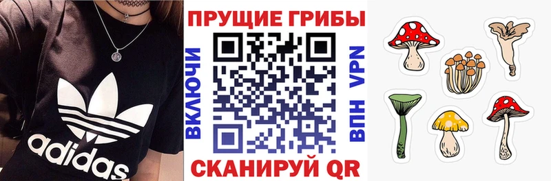купить наркоту  Магнитогорск  Псилоцибиновые грибы MAGIC MUSHROOMS 